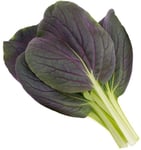 Click & Grow Smart Garden -täyttö Punainen Bok Choy 3kpl