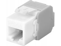 Goobay Cat 6A Keystone Rj45-Uttag, Utp, 500 Mhz - Färgversion Vit