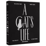 Printworks Photo Album A Cats Life