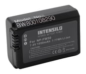 INTENSILO Batterie compatible avec Sony Alpha 6100 caméra photo vidéo Sony Alpha remplace NP-FW50 (1050mAh, 7.4V,Li-Ion)