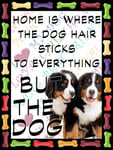 Shawprint Bernese Mountain Dog Puppies Fridge Magnet 100mm x 75mm HOME IS WHERE THE DOG HAIR STICKS TO EVERYTHING BUT THE DOG Novelty Gift