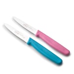 Lacor - 39085 - Couteaux de Cuisine Professionnels, Set Couteau Cuisine, Set 2 Pièces, Couteau d’Office, Dentelle Lisse et Dentelée, Acier Inoxydable, Série Etern, Lame de 10 cm, Bleu et Magenta