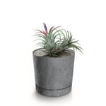 Botle Pot De Fleur Rond Gris Plastique Beton Effect Cache Pot 14,7 Cm Decoratif Bac A Plantes Avec Soucoupe Fleurs