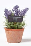 Artificial Lavender Plant in Decorative Pot