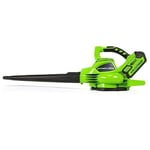 Greenworks Tools 24227UC Souffleur/Aspirateur à feuilles sans fil lithium-ion avec 2 batteries 2 Ah/chargeur 40 V