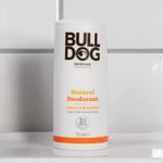 BULLDOG - Bodycare for Men | Lemon and Bergamot Roll On Natural Deodorant | 24h