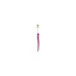 ORAL-B Toothbrush Manual Indicator Interdentale Medium Bristles