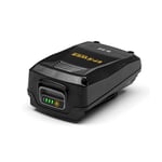 Alpina E-Power B 22 Batterie 20 V Lithium-Ion, Capacité Batterie 2 Ah, Compatible avec tous les outils portatifs et tondeuses Alpina 20 V, Indicateur LED de charge de la batterie