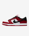 Nike SB Dunk Low Pro Skate Shoe