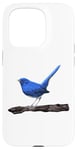 Coque pour iPhone 15 Pro Blue Redstart Ornithologie Observateur d'oiseaux