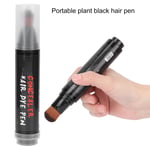 Hair Root Dye Stick Disposable Haircolor Portable Quick Touch Up Pen Stick F FST