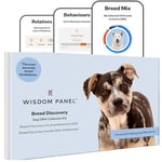 Wisdom Panel Breed Discovery Dog DNA Test Kit - Most Accurate Breed ID | Behaviours | MDR1 | Ancestry | Relatives