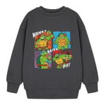 Teenage Mutant Ninja Turtles Boys Have A Slice Day Sweatshirt - 3-4 Years