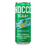 Energidryck Nocco BCAA+ Carib Kofffri 33cl Ink Pant