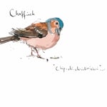 Madeleine Floyd - The Dawn Chorus - Chaffinch