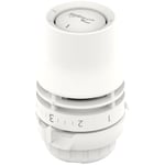 Danfoss - Tête thermostatique Redia®, liquide, avec sonde intégrée pour corps filetage M30x1.5