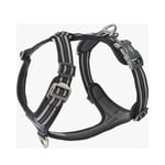 Dog Copenhagen Comfort Walk Air Harness Black 2024 - M