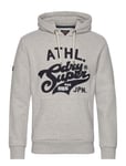 Superdry Athletic Script Graphic Hoodie Grå