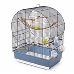 Glooke Selected iMac Andorra Cage pour Oiseaux, Multicolore, Unique