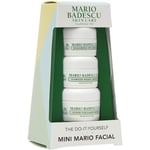 Mario Badescu Ihonhoito Kosteuttava hoito Mini Mario kasvohoitosetti Hyaluroninen silmänympärysvoide 3 g + Merilevä yövoide 6,5 g + Super Kollageeninaamio 12 g. 1 Stk. (26,95 € / 1 Kpl)