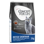 3 kg Concept for Life Adult erikoishintaan! - British Shorthair  3 kg