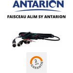 Faisceau alimentation systeme vidéo de recul - Antarion