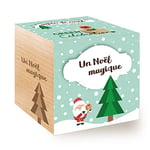 Feel Green Celebrations Ecocube, Épicéa, Avec Un Message Gravé De Haute Qualité: Un Noël Magique, Idée Cadeau (100% Ecologique), Grow-Your-Own/Kit Prêt-à-Pousser, Plantes dans des Cubes en Bois 7.5cm, Produit en Autriche