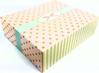 Beniamin Box 230 X 230 X 105 Mm / 5 St - Cake Pack (Pack=Pc) Beniamin Targi