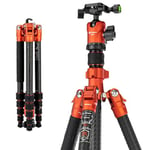 Fotopro Carbon Fiber Tripod 60 Inch 360 Degree Ball Head Quick Release Plate Camera Tripod Compatible with Canon Nikon Sony DSLR Camcorder,Sherpa Orange