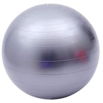 Fortitude Sports Exercise Ball With Pump | Yoga Swiss Ball For Fitness, Pilates, Home and Gym | Anti Burst, Anti Slip Balance Ball in 55, 65, 75cm Sizes (65cm, Grey)