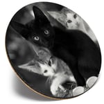 Round Single Coaster  - BW - Cute Kittens Black Tabby Ginger Cat  #43908