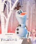 Strykemerke Frost Olaf