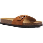 Sandales Scholl Homme  Scholl mules