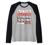 Driving Lessons Learner Driver 17th Birthday Im 17 Today Raglan Baseball Tee