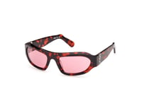 Lunettes de Soleil GCDS GD0045 54S red havana 57/20/130 UNISEX