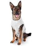 Flamingo Safety Body Harnais Veste pour Chien Gris 60 cm