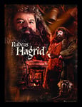 Wizarding World Harry Potter (Hagrid) 30 x 40 cm Objet Souvenir