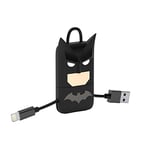 Tribe DC Comics Câble Lightning vers USB 22 cm pour iPhone 7/7 Plus 6/6 Plus/iPhone 6S/6S Plus iPhone 5/5s/5c iPad Air iPad mini Motif Batman (Apple MFI Certifié)