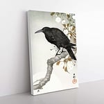 Big Box Art A Crow on The Blossom Tree by Ohara Koson Painting Canvas Wall Art Print Ready to Hang Picture, 76 x 50 cm (30 x 20 Inch), White, Grey, Green, Black