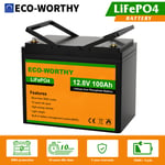 12V 100AH Lithium Battery Rechargeable LiFePO4 4000+ Deep Cycle Solar Panel RV