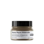 Masque - L'Oréal Professionnel - Absolut Repair Molecular - 500 ml - Skadade hår - Blandad