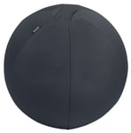 Leitz - Ergo Balance ball anti-roll-away 55cm - Dark grey