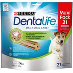 Animalerie DENTALIFE - Small Batonnets 345G - Lot De 3 - Vendu par Lot