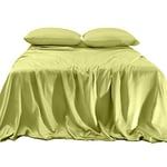 Elegant Comfort Luxurious 4-Piece Silky Satin Sheet Set, Skin and Hair Friendly, Wrinkle, Fade, Stain Resistant with Deep Pockets Fitted Sheet, Cooling Soft Satin Sheets, Queen, Pistachio Green