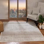 Surya Evora Tapis Vintage - Tapis de Salon, Salle à Manger, Chambre, Cuisine - Tapis Boheme Chic, Design Traditionnel Oriental Multicolore, Tapis Coloré Poil Court 120x170cm - Tan, Ivoire, Gris Clair