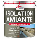 Peinture fibro ciment pour encapsulage support amiante / plomb : ARCACOVER AMIANTE - 10 L Tuile - ARCANE INDUSTRIES