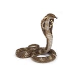 Papo - Figurines A Collectionner - Cobra - Reptiles - Animaux Sauvages – Convient Aux Enfants - Filles Et Garçons - A Partir De 3 Ans