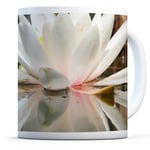 Pretty Water Lily - Drinks Mug Cup Kitchen Birthday Office Fun Gift #12357