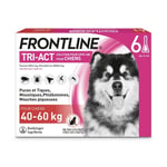 FRONTLINE TRI ACT Chien Anti Puces Tiques Poux Larves Oeufs 40 - 60kg 6 Pipettes