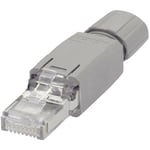 Wago - Connectique RJ45 IP20 - CAT5e 750-975 RJ45 mâle, droit Pôle: 8P8C gris 1 pc(s)